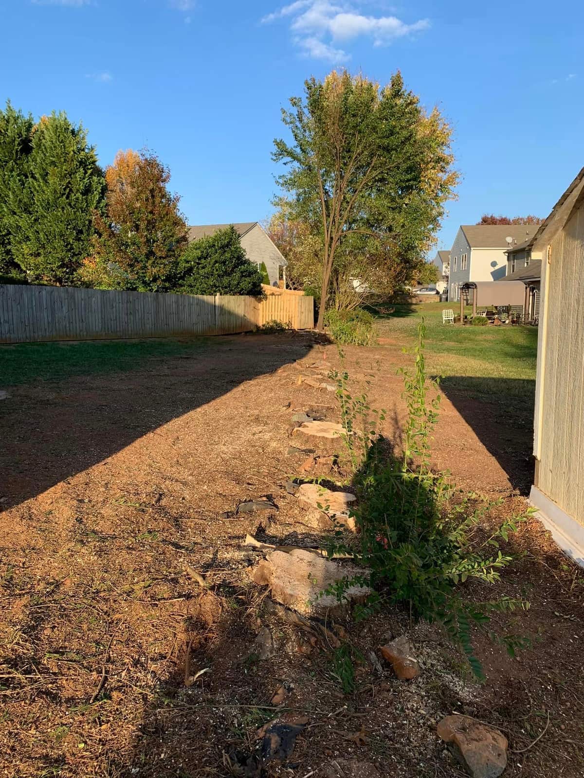 Tree removal project