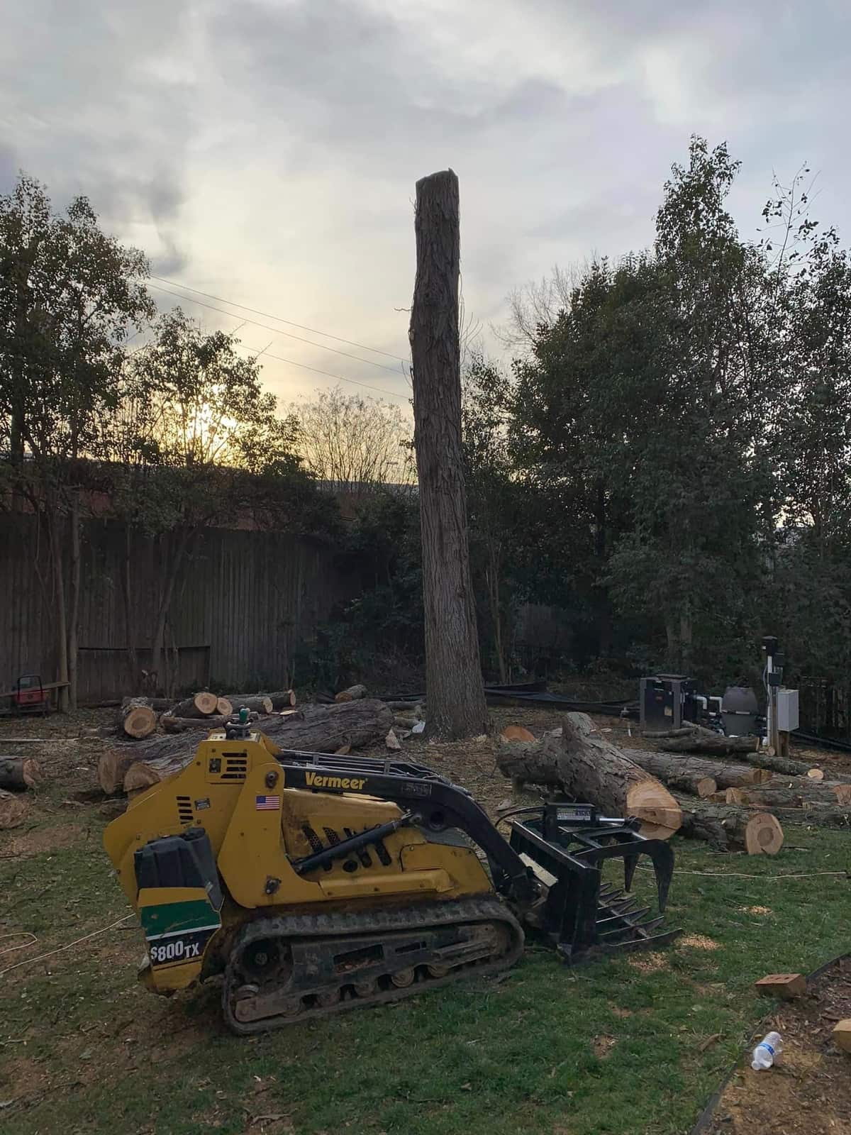Completed tree work projects in Charlotte