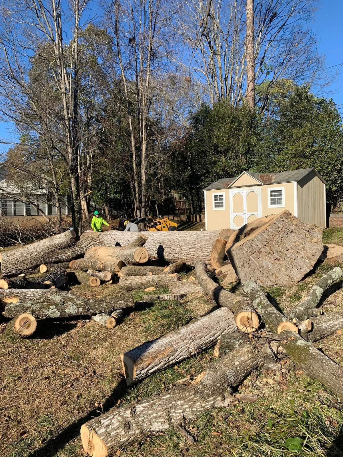 Tree service project Charlotte